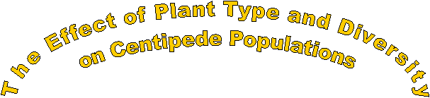 The Effect of Plant Type and Diversity