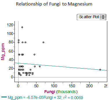 Relationship of Fungi to Magnesium Graph